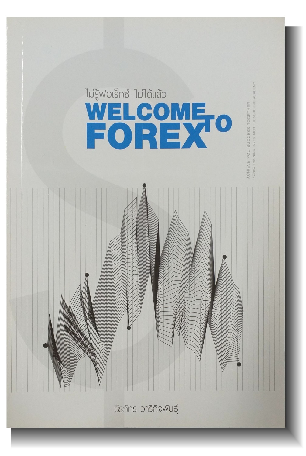 Forex consulting group forex and foreign exchange markets